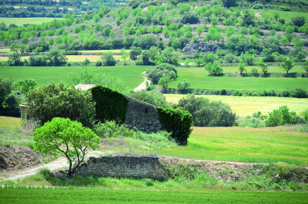 Hostal Palouet De Segarra Bagian luar foto